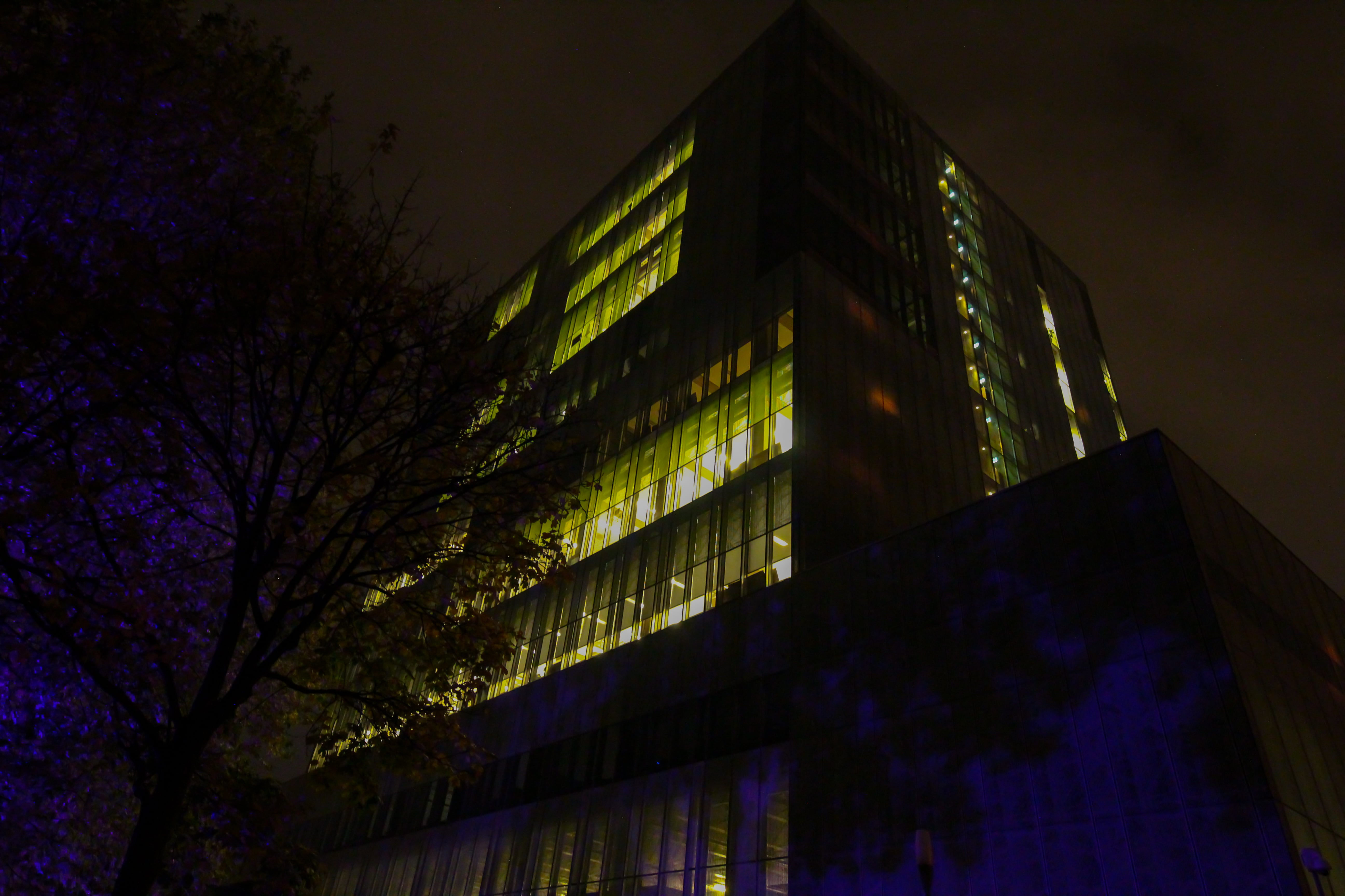 Glow 2021, gebouw